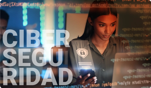 Ciberseguridad